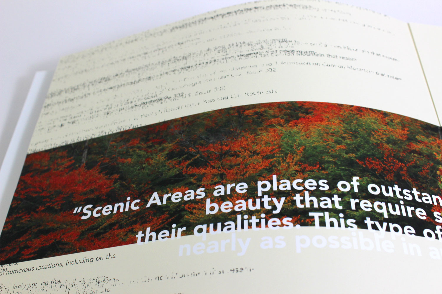 Second spread close-up for White Mountains experimental typography publication designed by Chloe Atchue-Mamlet